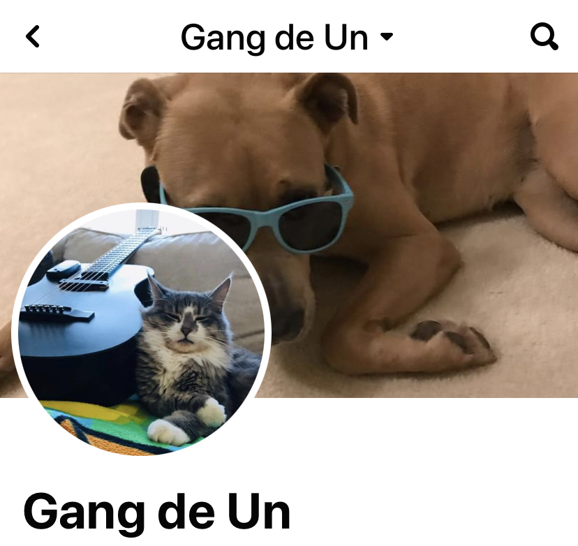 Gang de Un (Mark Belanger Solo